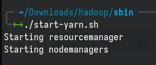 Start resource manager