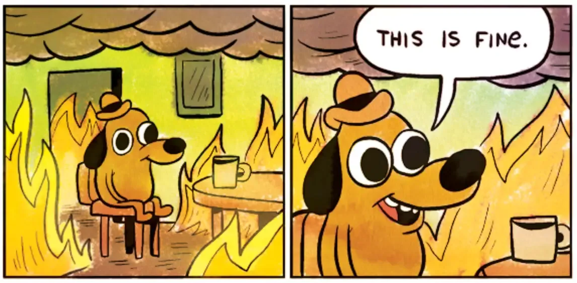 Me managing 15 Docker services manually This is fine